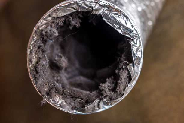 Air Duct Mold Removal in Union City, CA
