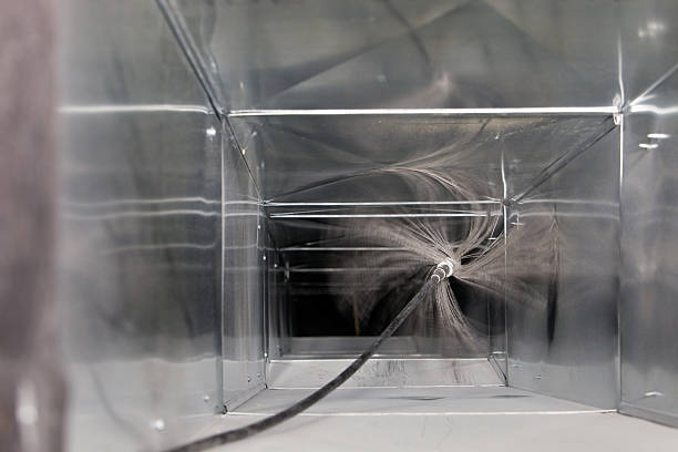 Best Air Duct Mold Removal  in Union City, CA